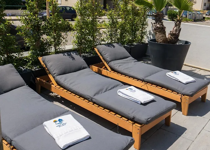 Host Wise Arvore 빌다도콘데